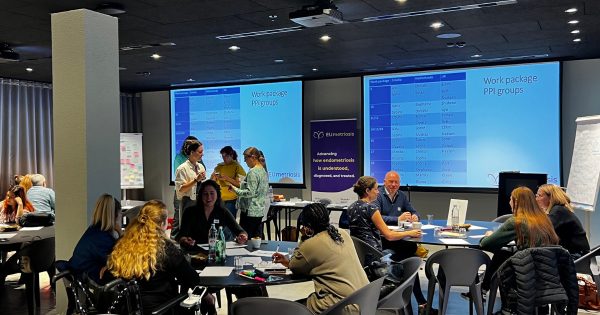 PPI meeting EUmetriosis