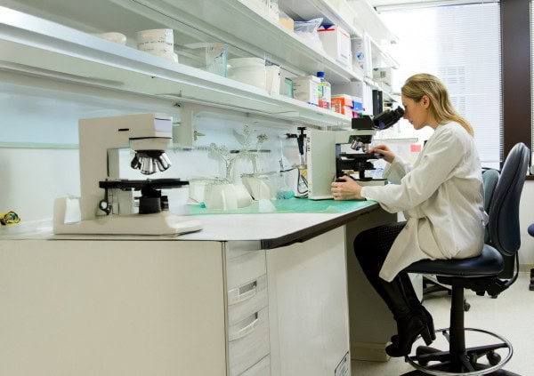 Female Scientist Working In Lab Looking Through Microscope